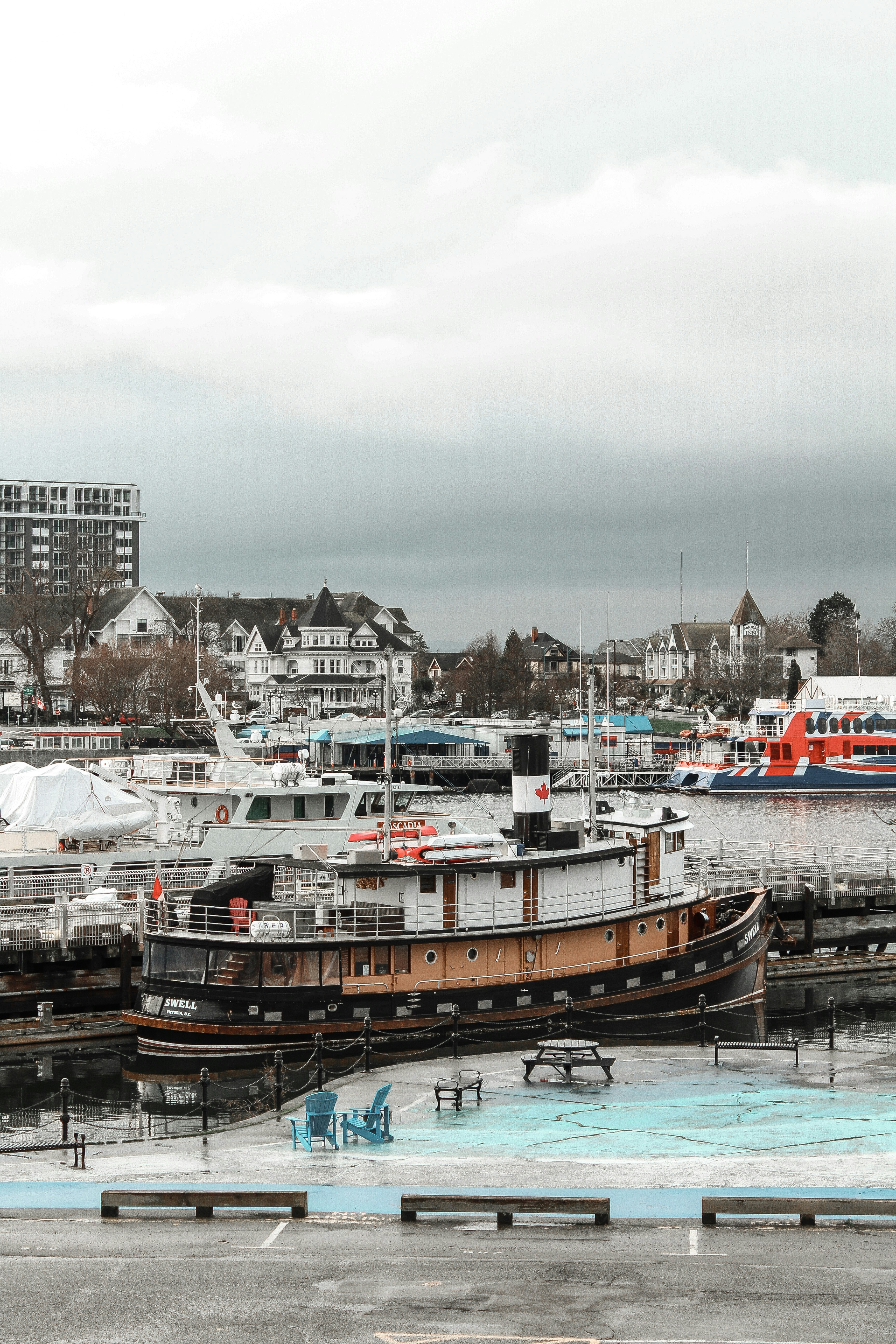 white and brown boat on dock during daytime