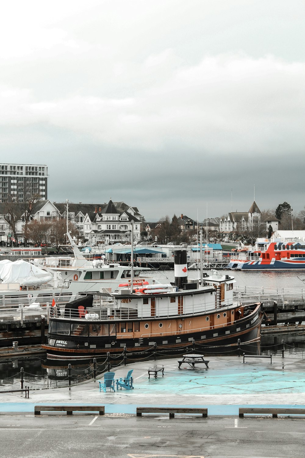 white and brown boat on dock during daytime