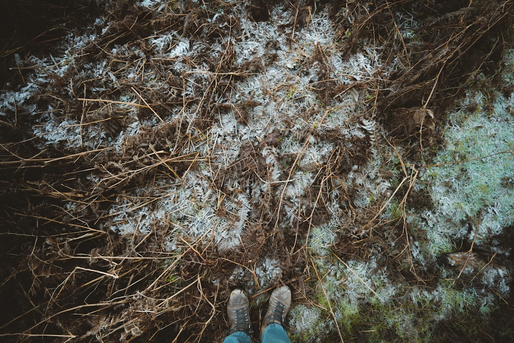 person in blue denim jeans standing on brown dried leaves covered ground