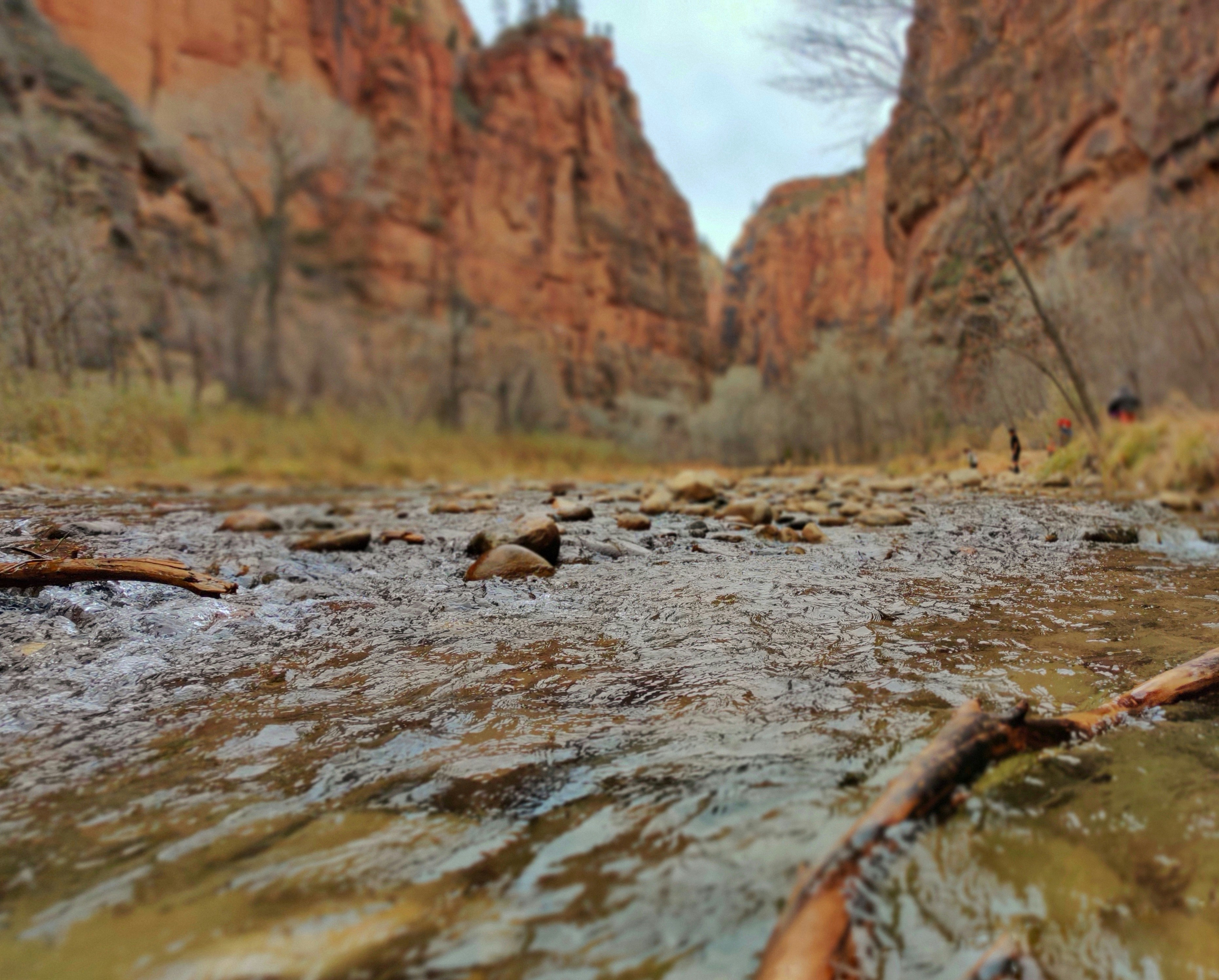 brown and white rocks on river