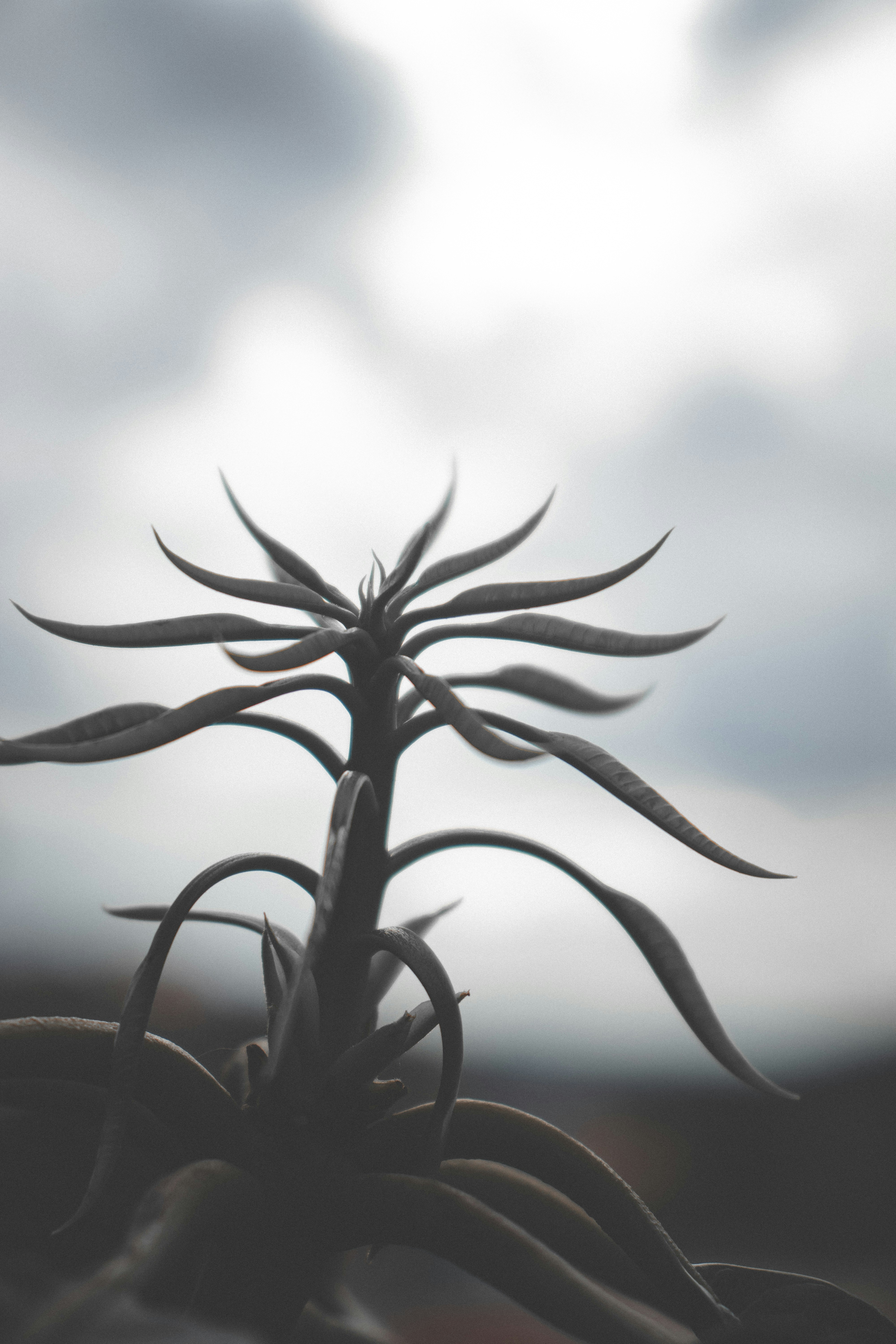 Photo by eusouigorbispo