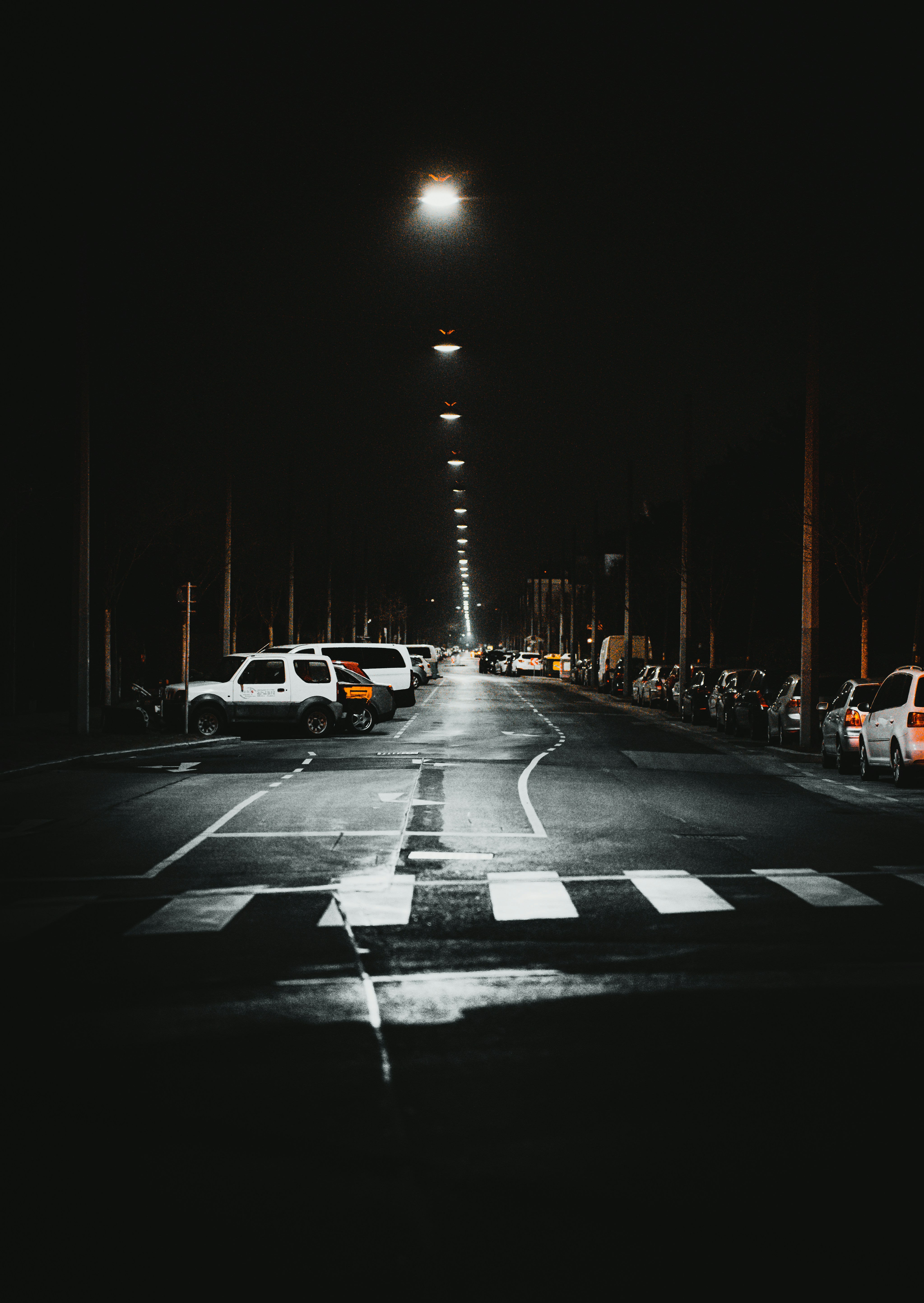 Photo by alex_rainer