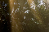 Sunshine filtering through tropical leaves onto a peaceful outdoor seating area at the hotel.