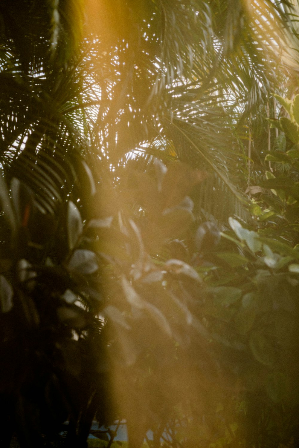 green leaf plant during daytime