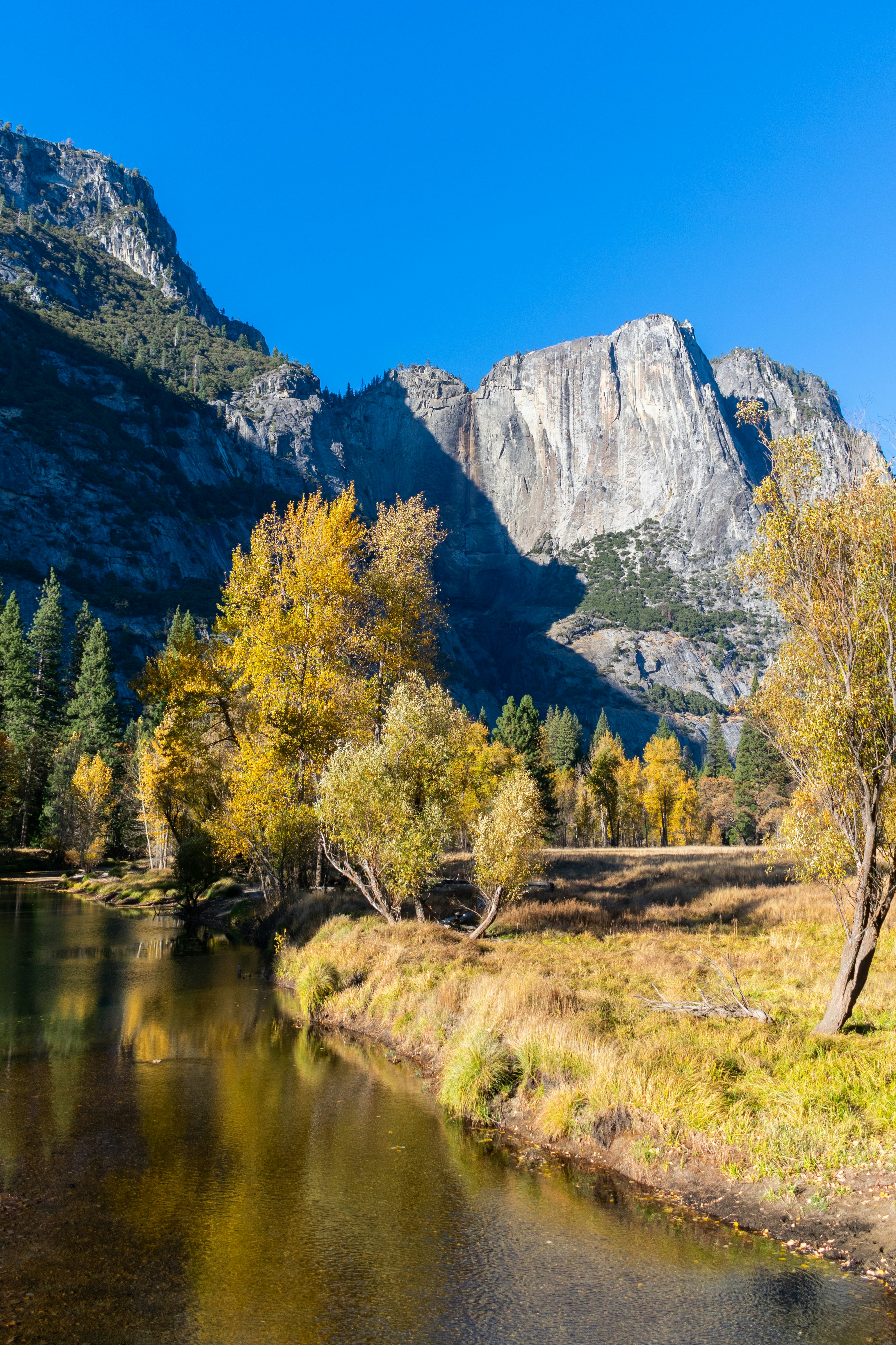 Photo by luisflores762