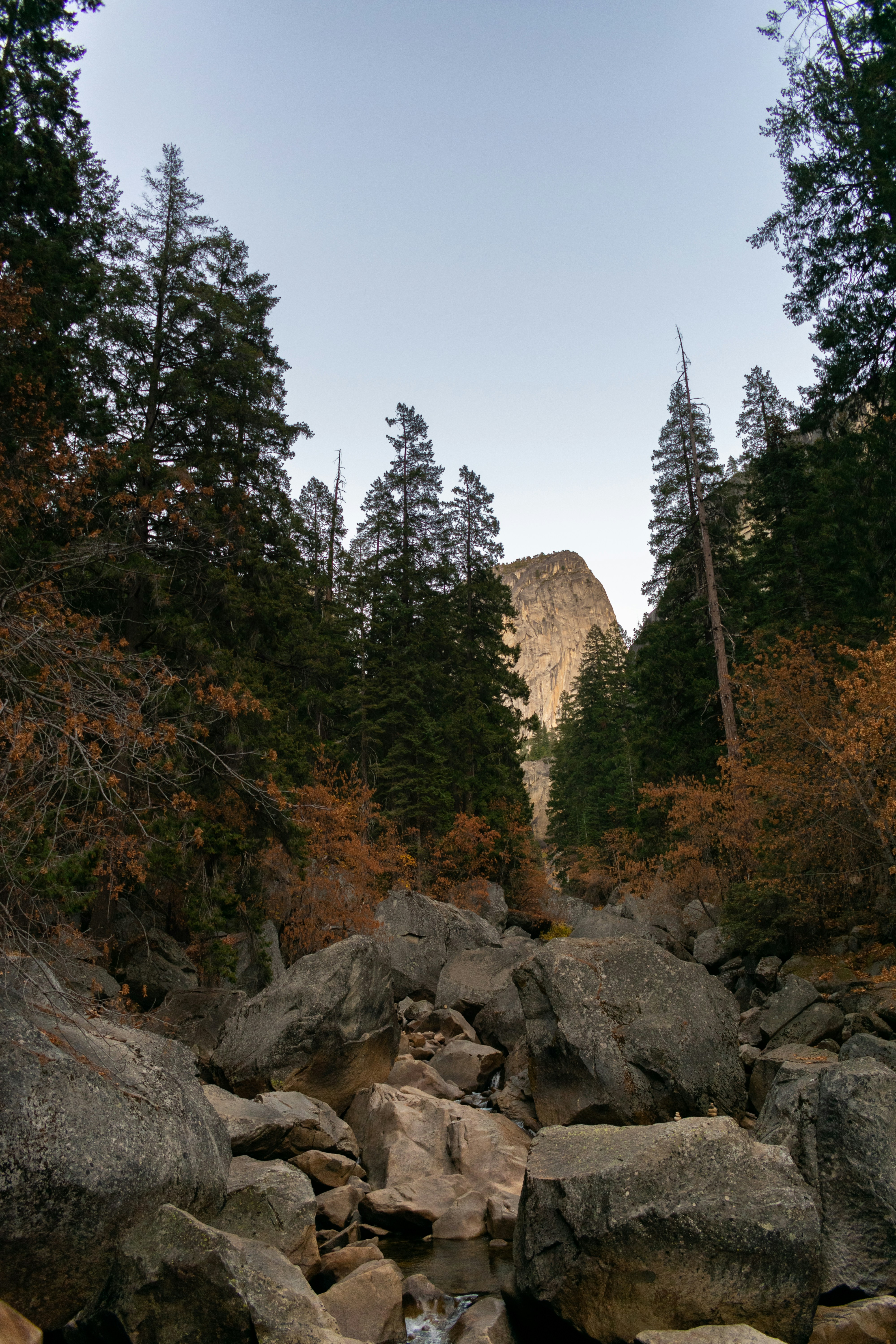 Photo by luisflores762