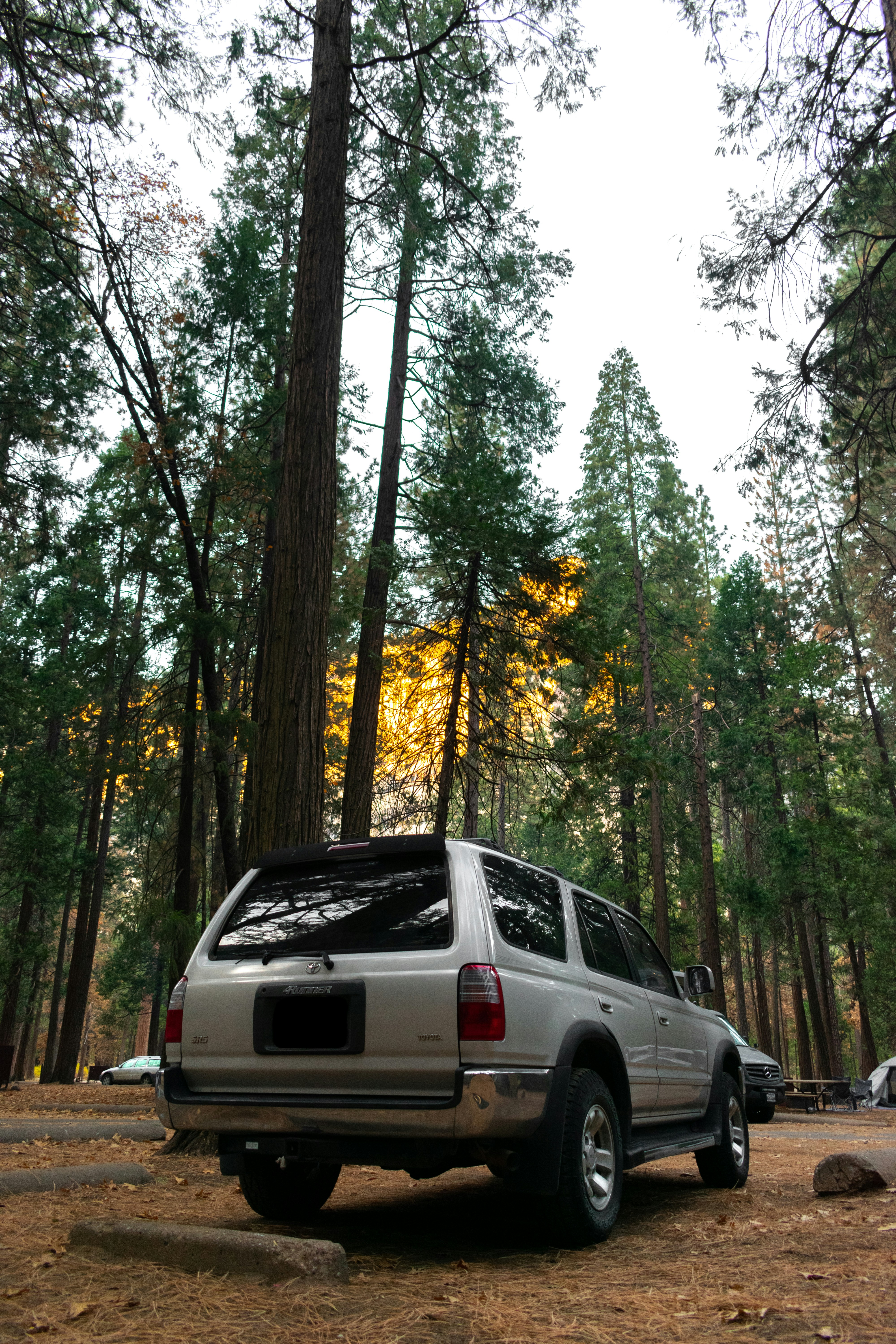 Photo by luisflores762