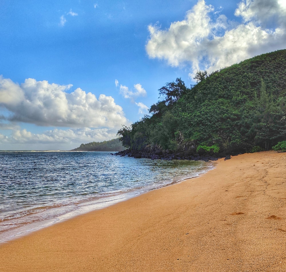 green mountain beside body of water during daytime