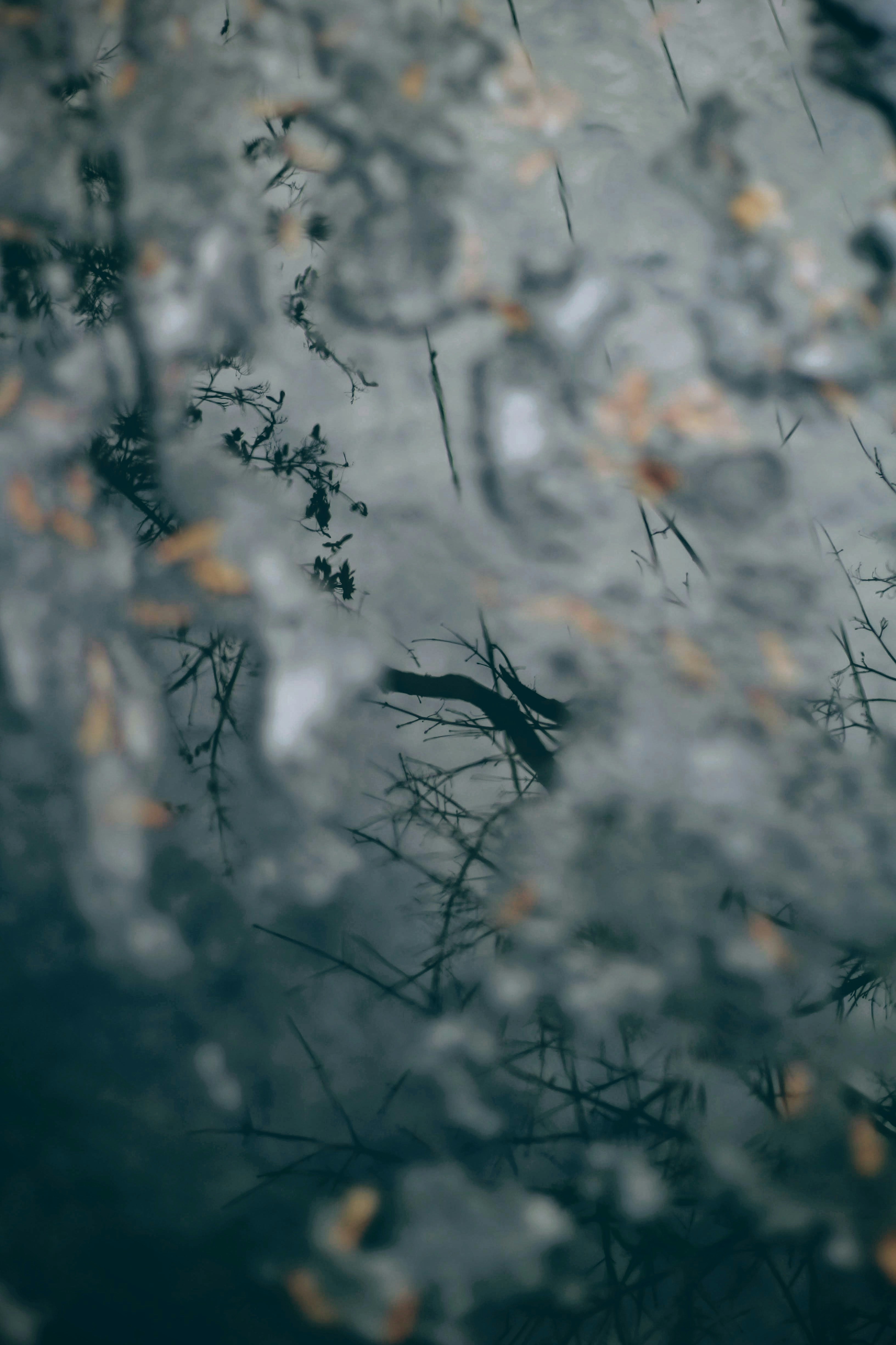 Photo by joshua_hoehne