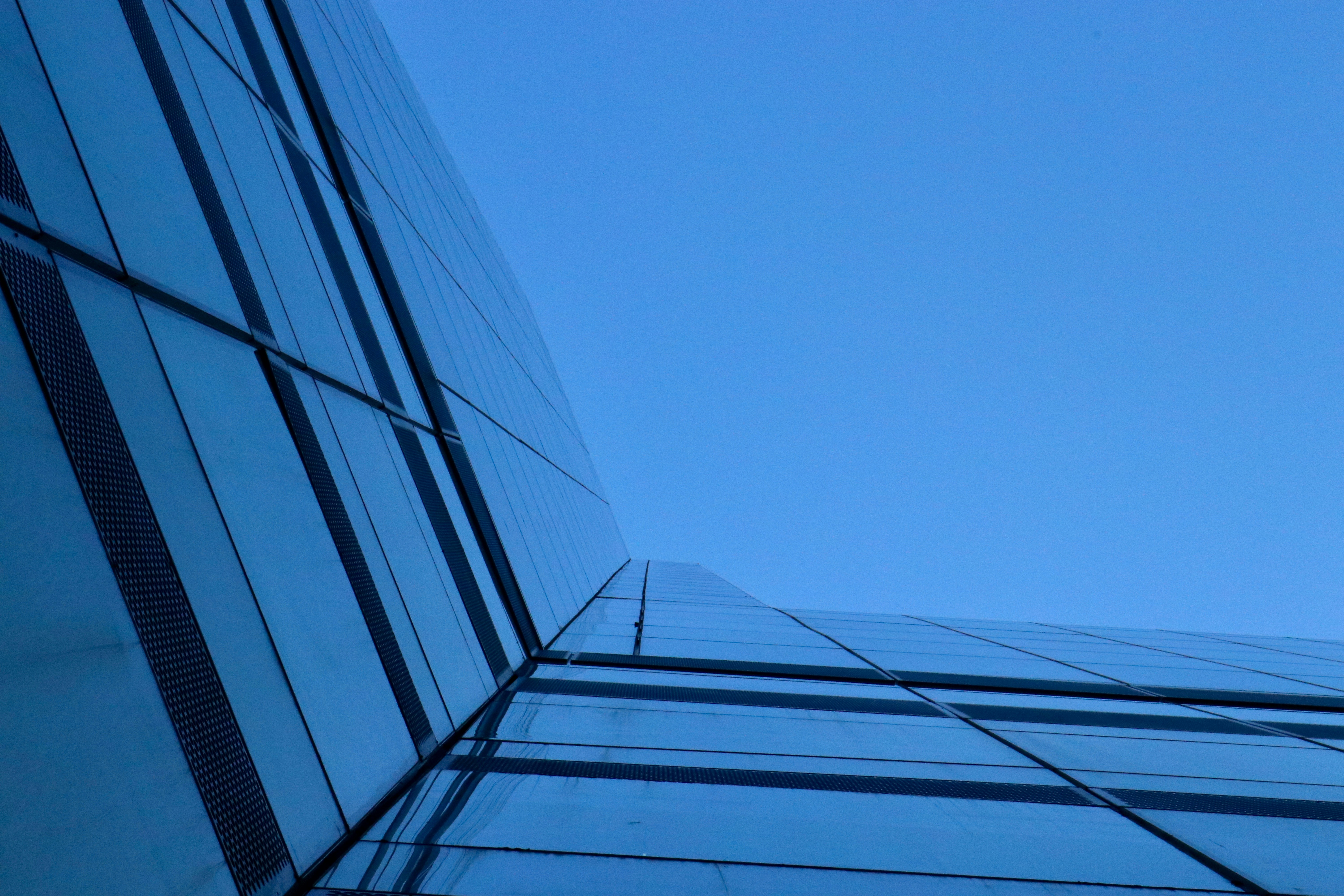 Photo by carinahleap