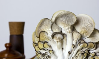 white and brown mushroom figurine