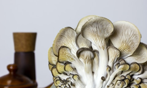 white and brown mushroom figurine