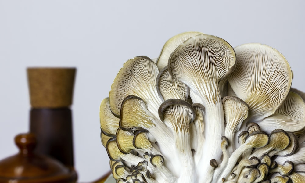 white and brown mushroom figurine