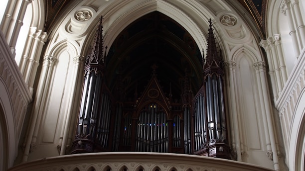 A grand organ with intricate details is situated within an elaborate Gothic-style architectural setting. The structure features tall pipes encased in ornately carved wooden panels, surrounded by impressive stone archways and decorative columns, bathed in soft, natural light from an unseen window.