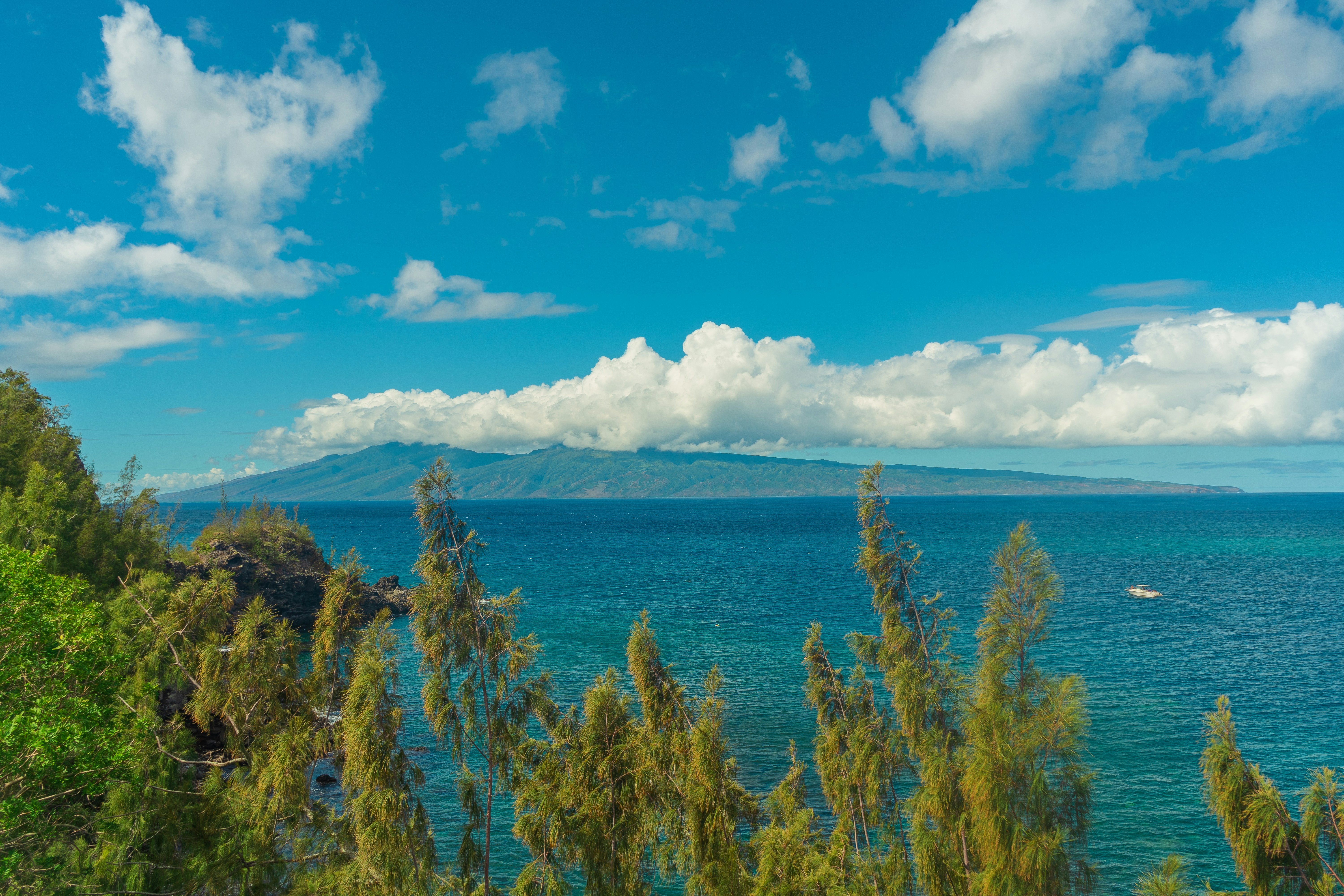 green and brown trees near blue sea under blue and white cloudy sky during daytime, Watching the island from the coast