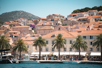 A picturesque coastal town with traditional stone buildings featuring red-tiled roofs. Lush green palm trees line the waterfront, creating a tropical atmosphere. Boats are moored along the water's edge, and people can be seen enjoying the seaside promenade. The backdrop includes a hillside with scattered vegetation.