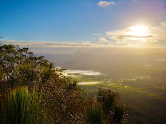 green grass near body of water during daytime in Mount Warning Australia