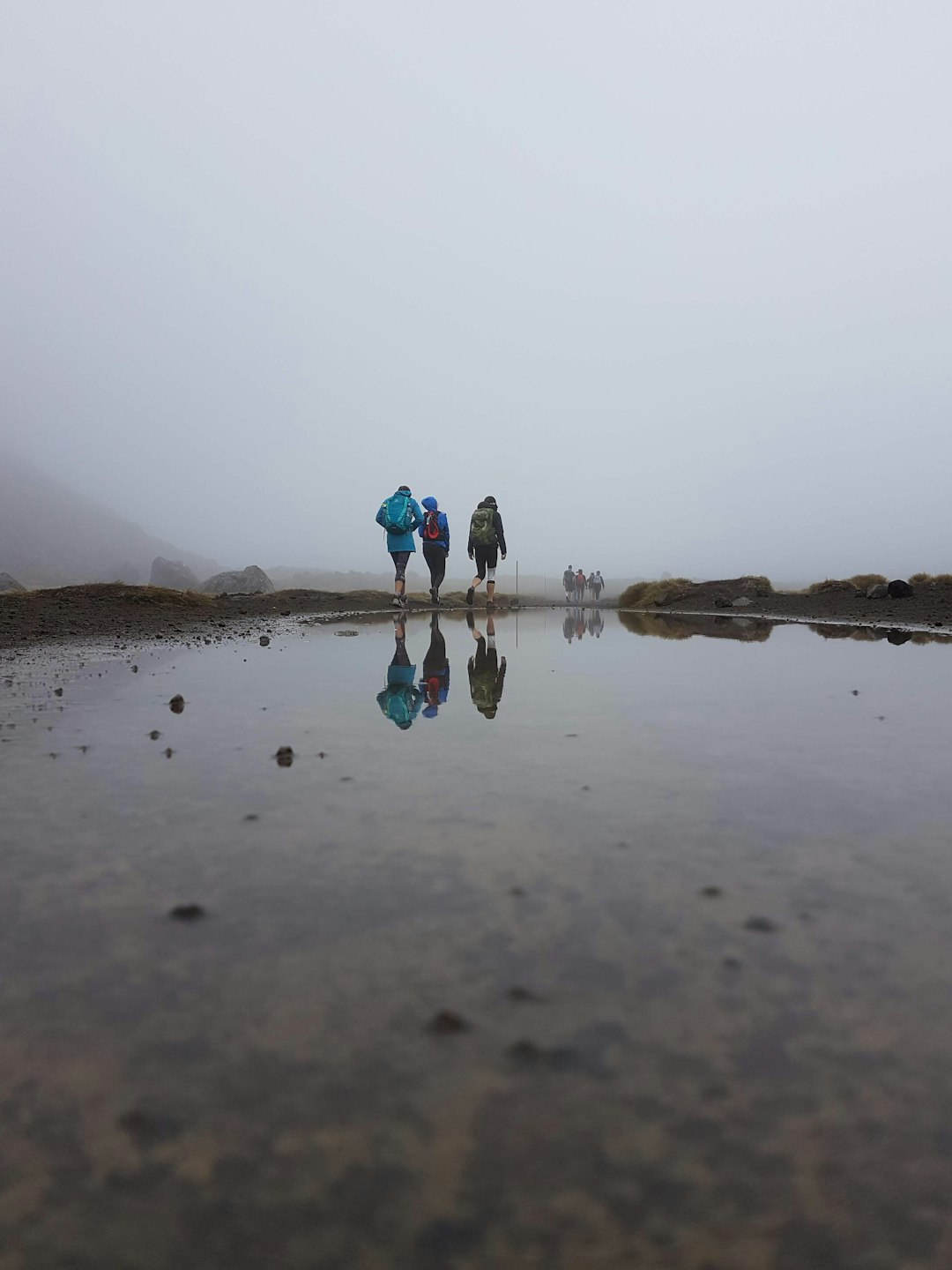 travelers stories about River in Tongariro Alpine Crossing, New Zealand