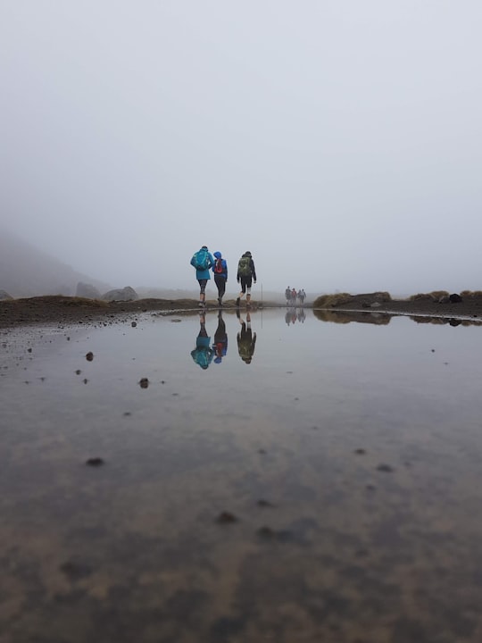 person in blue jacket and blue denim jeans standing on brown sand near body of water in Tongariro Alpine Crossing New Zealand