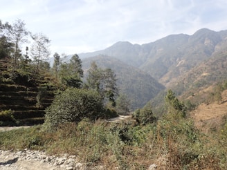 A scenic view of a traditional Vietnamese landscape with lush greenery and mountains.