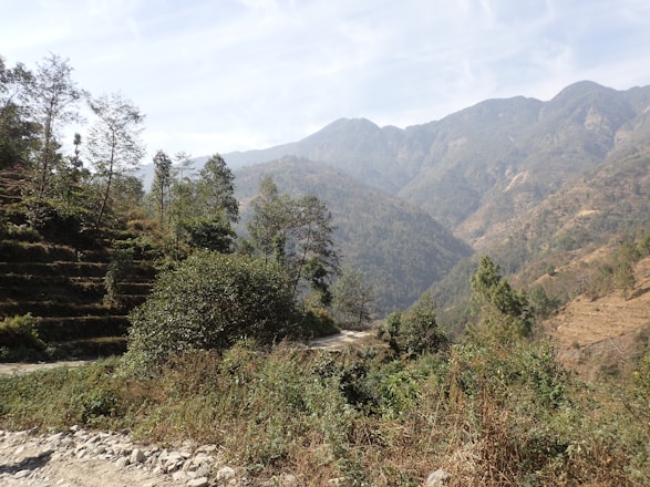 A scenic view of a traditional Vietnamese landscape with lush greenery and mountains.