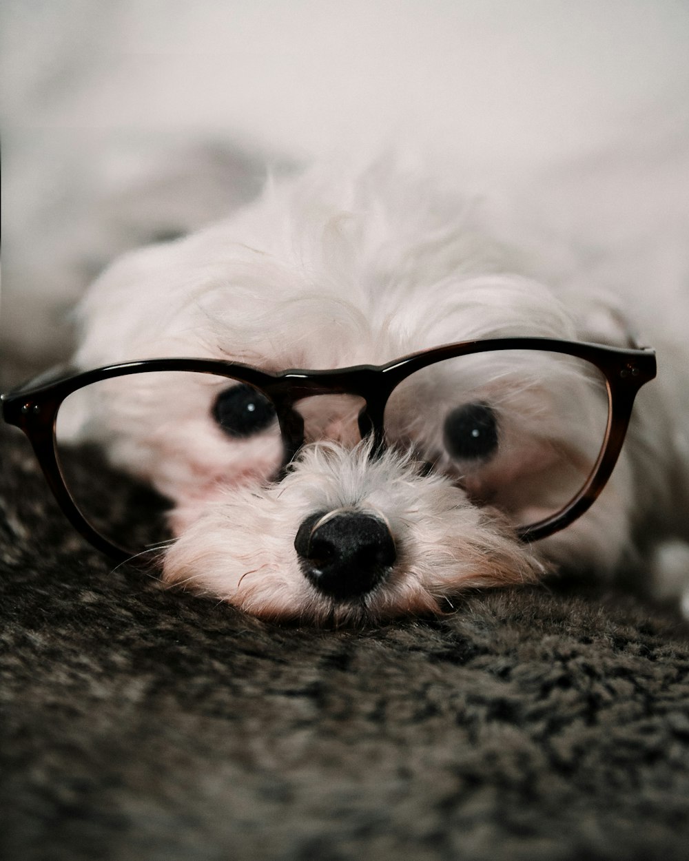 black framed eyeglasses on white fur textile