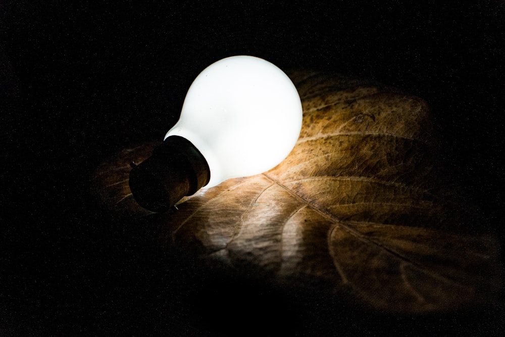 white light bulb on brown wooden table