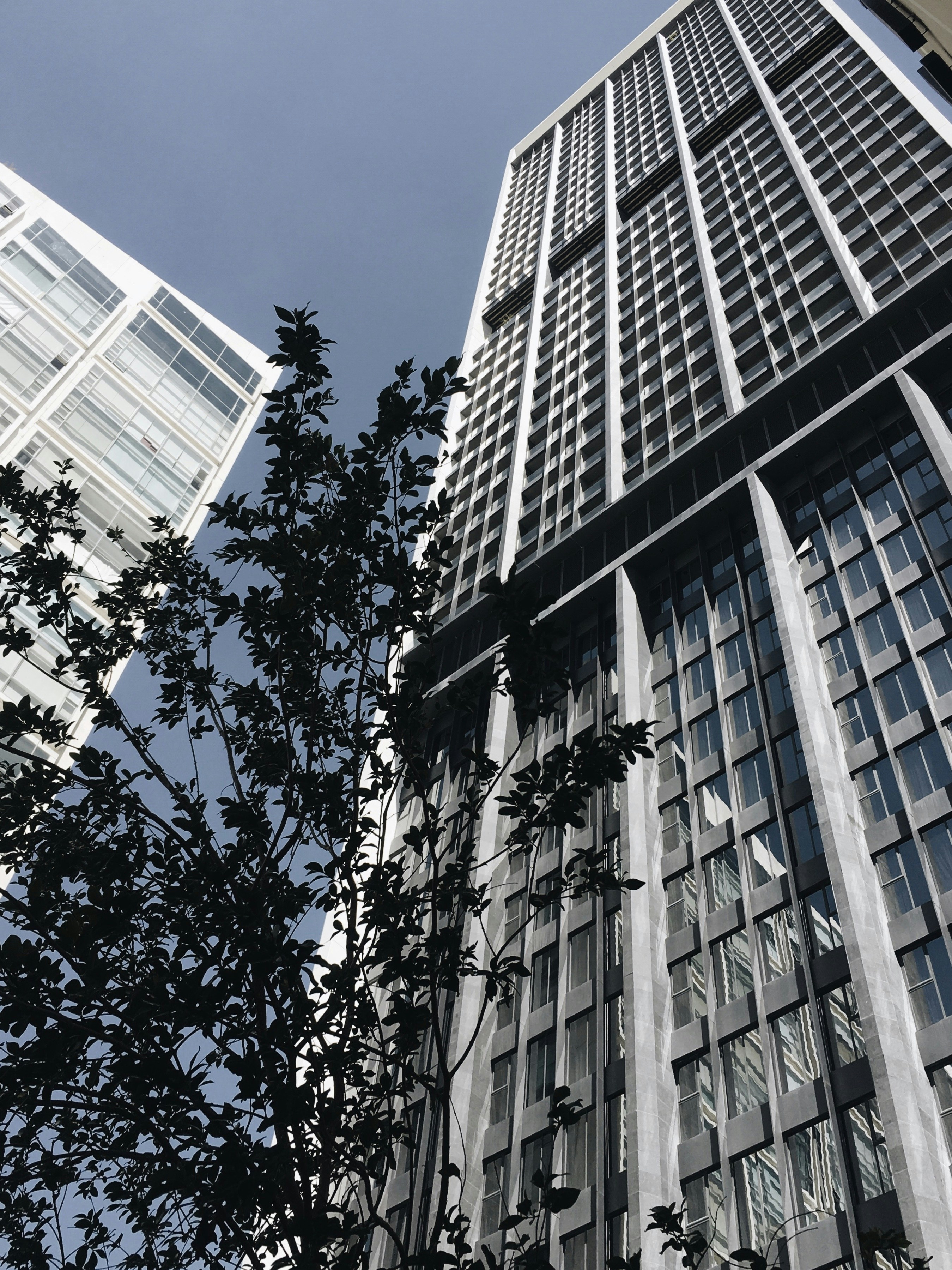 Photo by zamnungaray