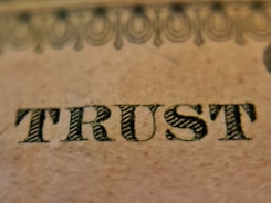 The word 'TRUST' is prominently displayed on a textured beige surface, featuring intricate, dark, serif typography. Above the word, there is a decorative pattern consisting of interlocking loops and circles, resembling ornamental engraving typically found on paper currency.