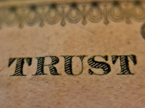 The word 'TRUST' is prominently displayed on a textured beige surface, featuring intricate, dark, serif typography. Above the word, there is a decorative pattern consisting of interlocking loops and circles, resembling ornamental engraving typically found on paper currency.