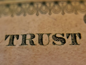 The word 'TRUST' is prominently displayed on a textured beige surface, featuring intricate, dark, serif typography. Above the word, there is a decorative pattern consisting of interlocking loops and circles, resembling ornamental engraving typically found on paper currency.