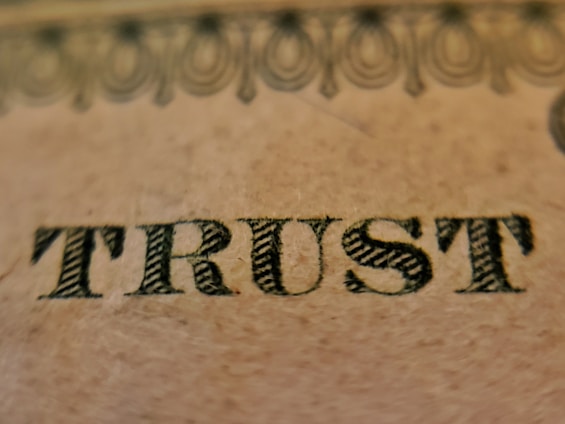 The word 'TRUST' is prominently displayed on a textured beige surface, featuring intricate, dark, serif typography. Above the word, there is a decorative pattern consisting of interlocking loops and circles, resembling ornamental engraving typically found on paper currency.