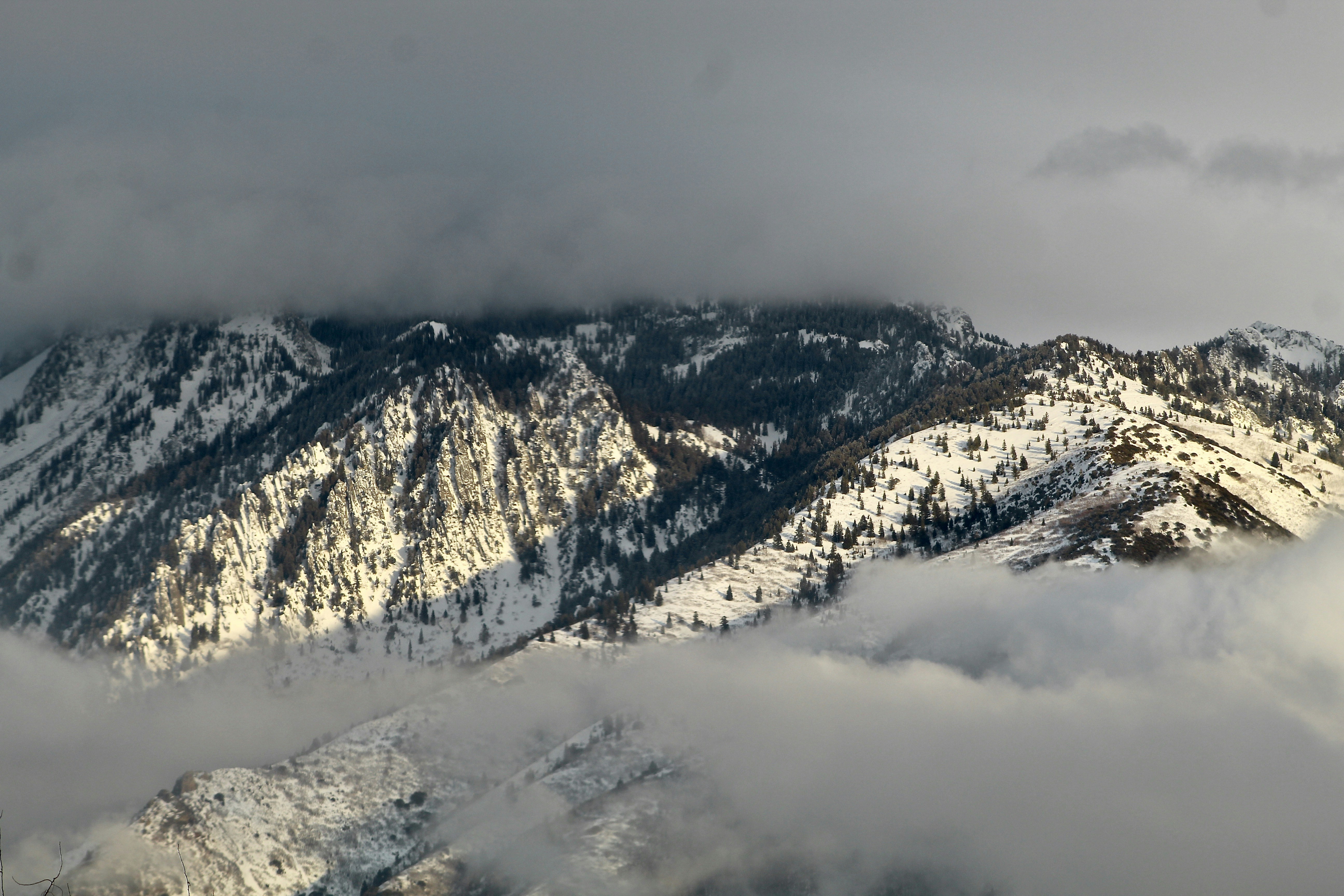 Image by Erin Testone via Unsplash