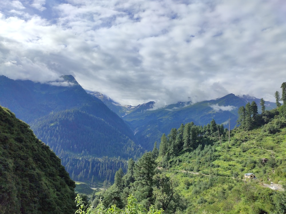 green trees on mountain under cloudy sky during daytime