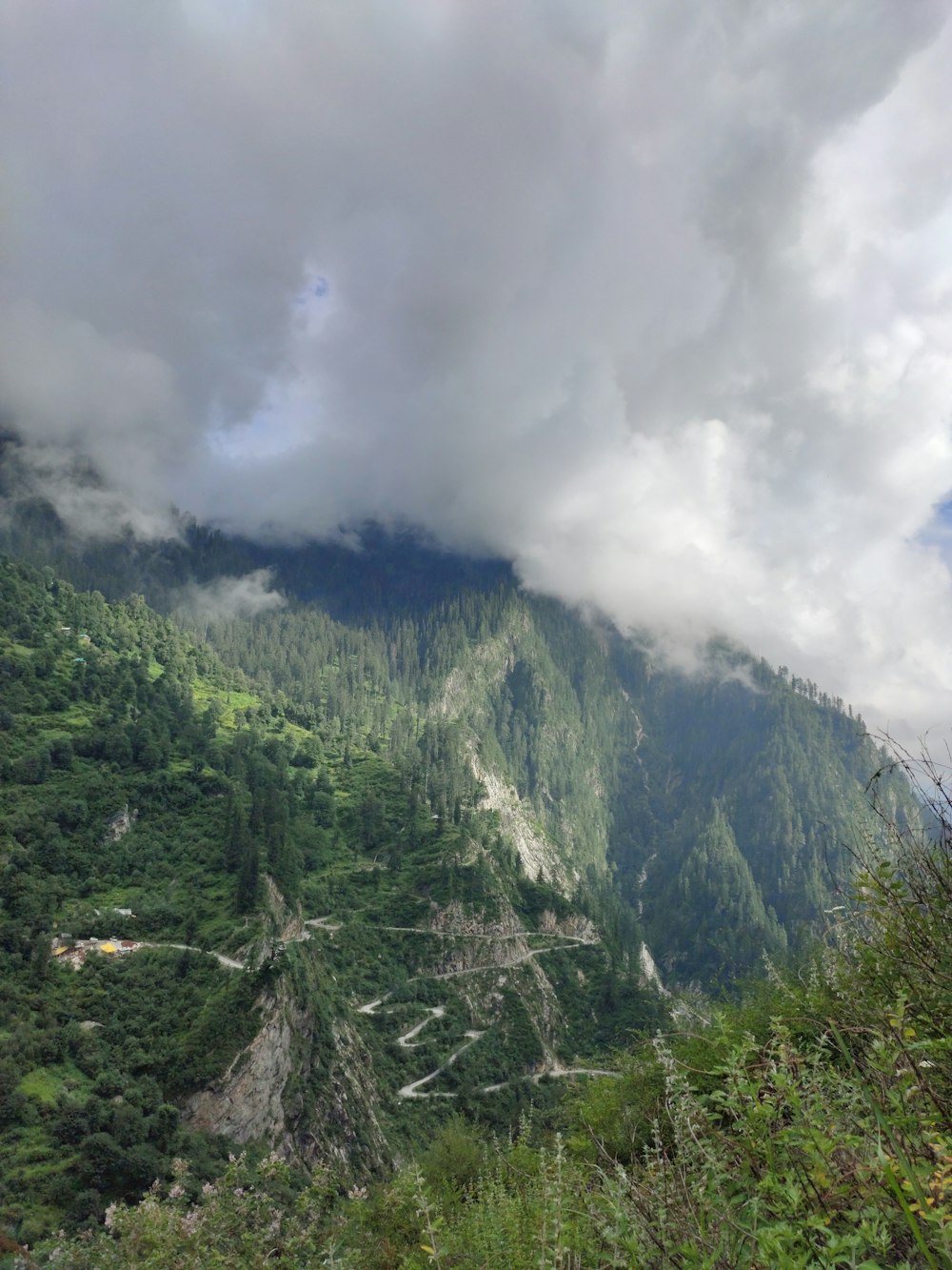 árboles verdes en la montaña bajo nubes blancas durante el día