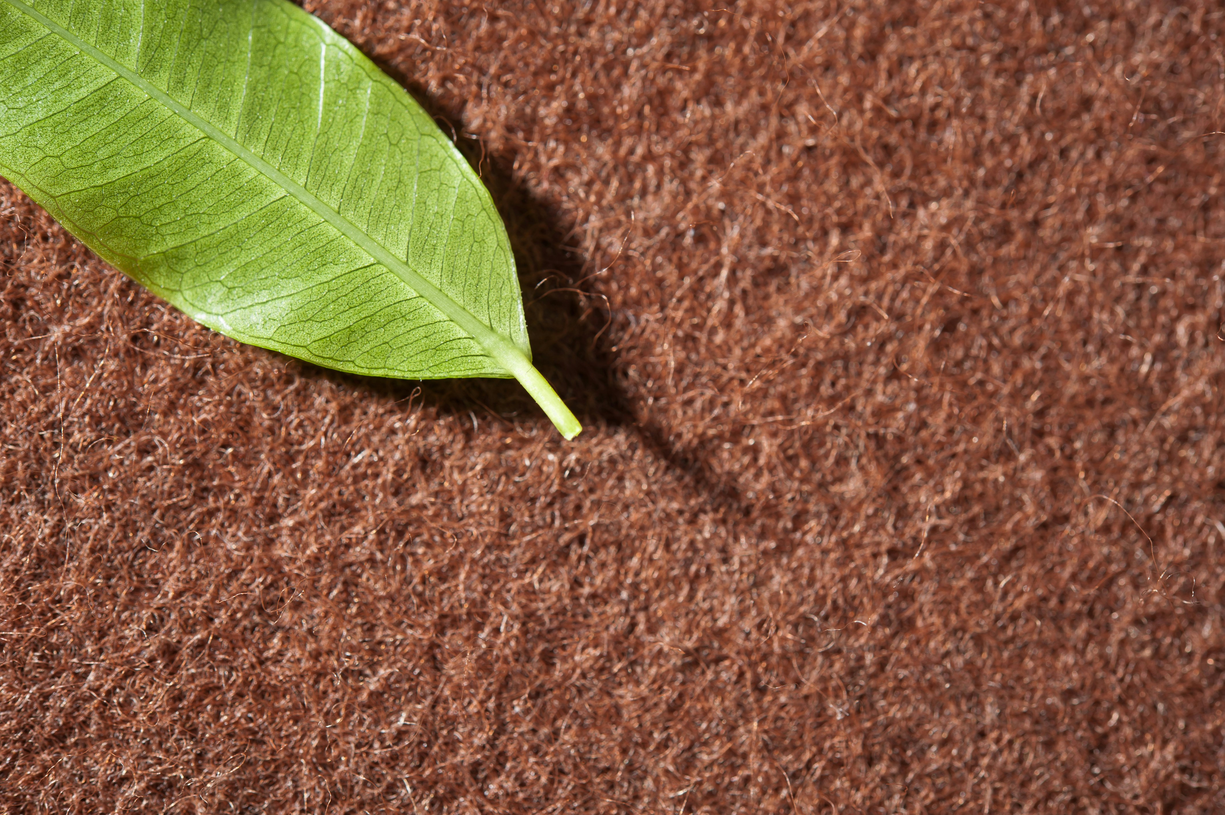 Florian Berger Bergerteam Unsplash Photo Community