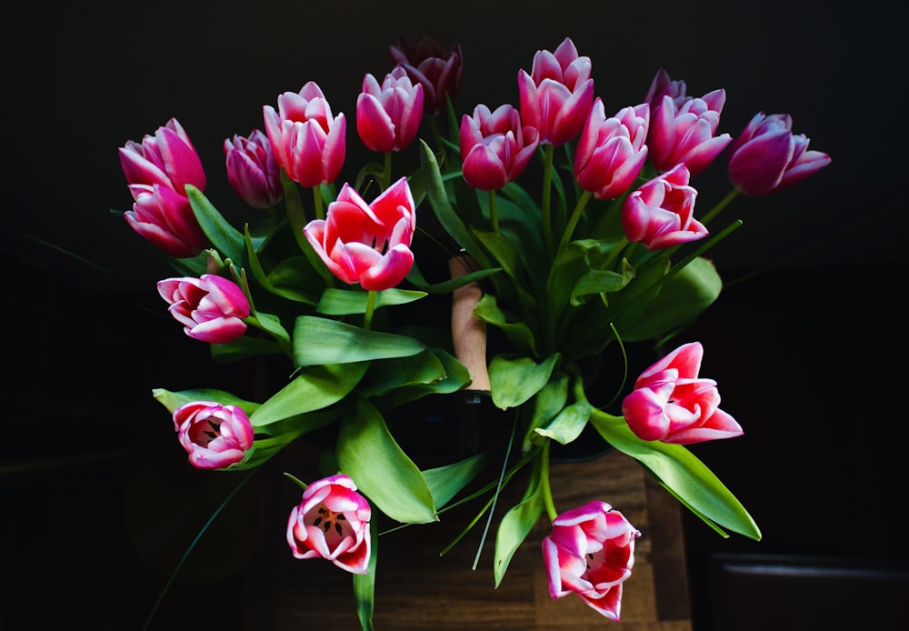 pink tulips in clear glass vase