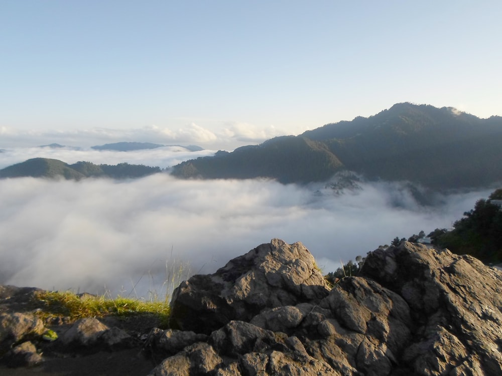 erba verde sulla montagna rocciosa durante il giorno