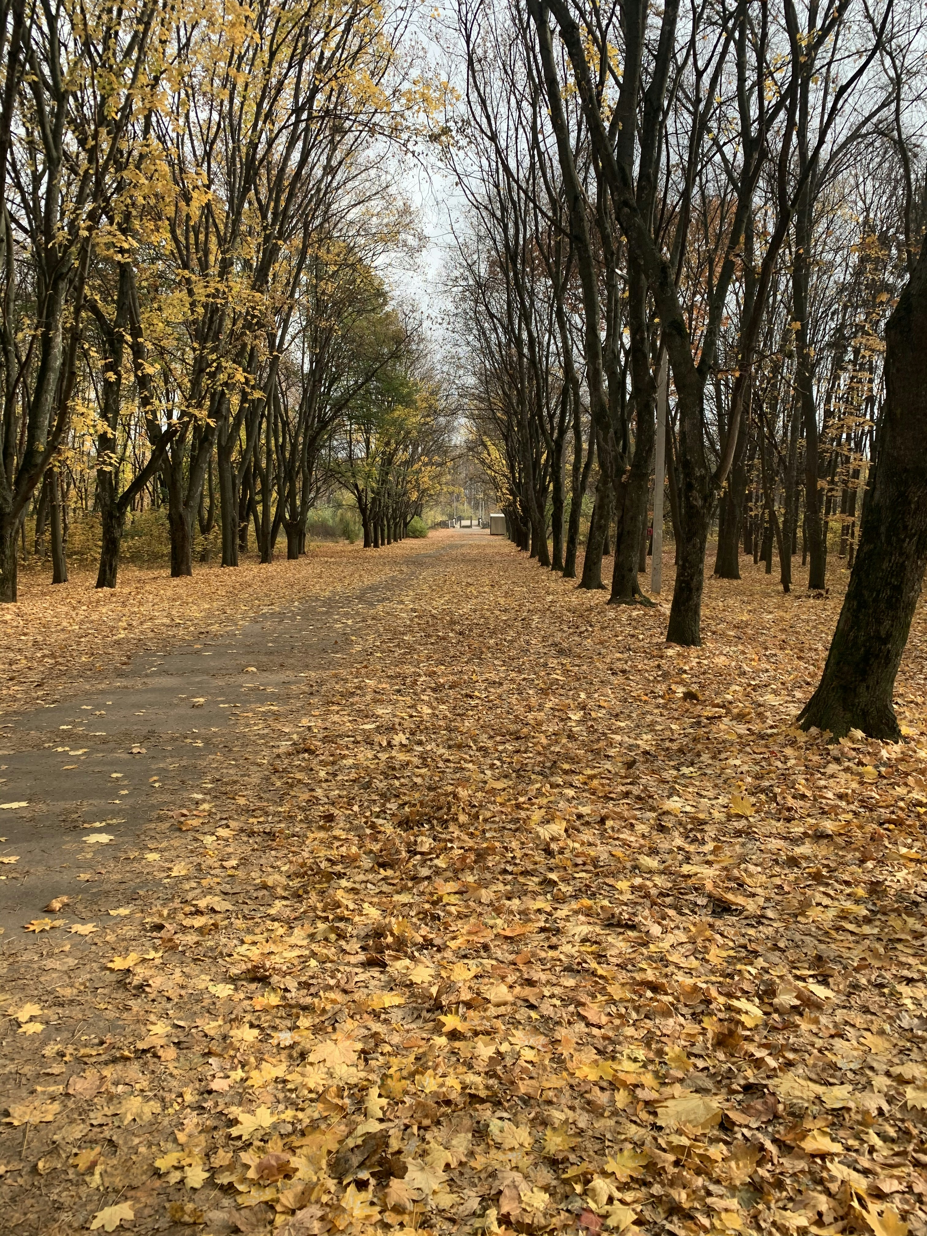 Photo by username_3me1