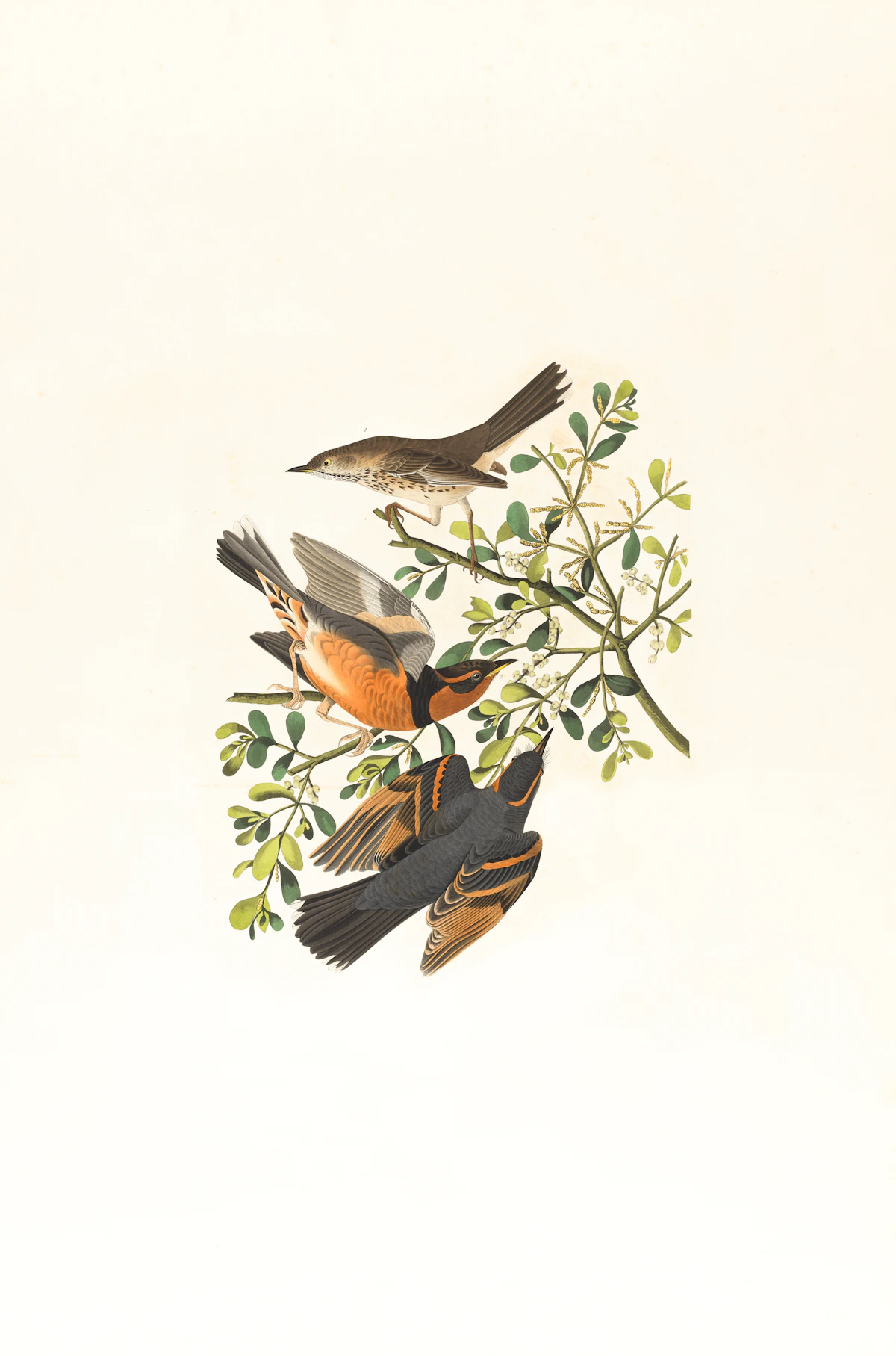 Artwork 1