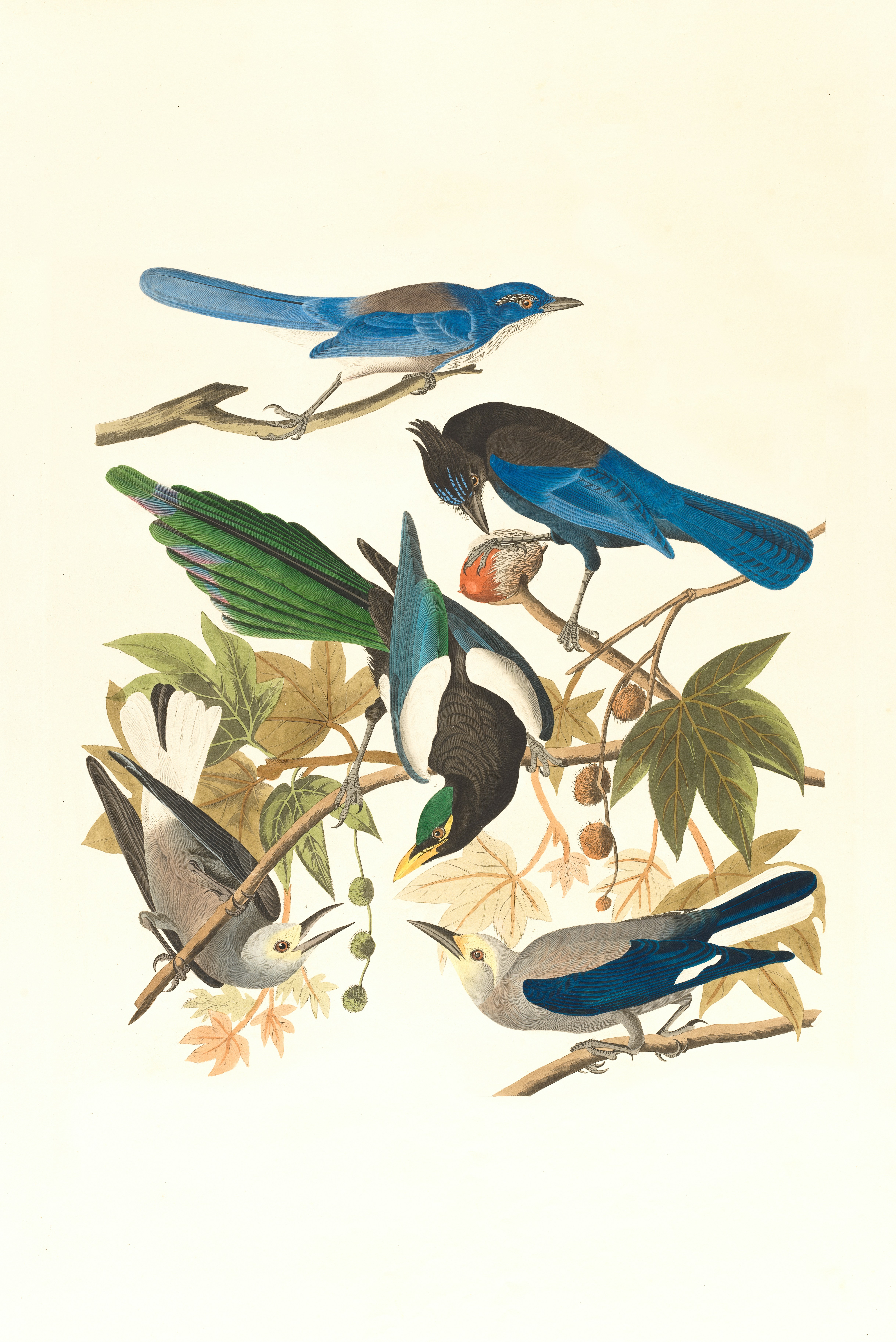 Stampe d'Arte di Giulia Salza