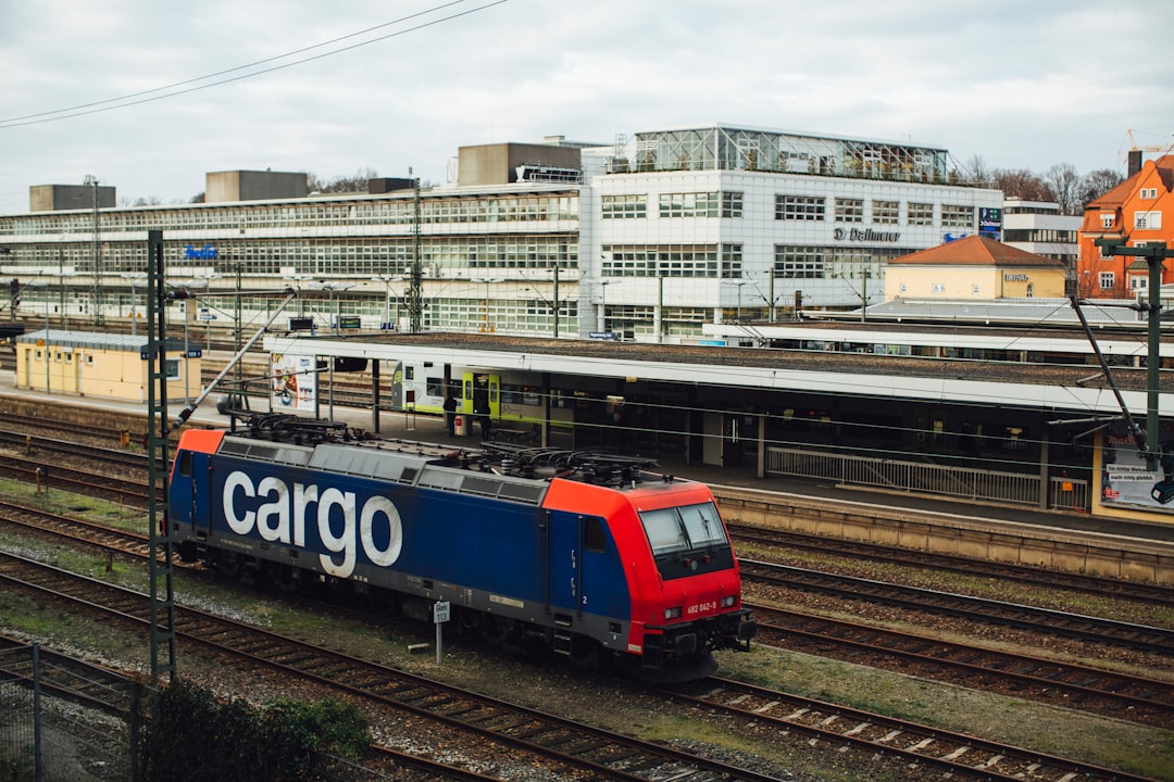 red and blue train on rail tracks during daytime