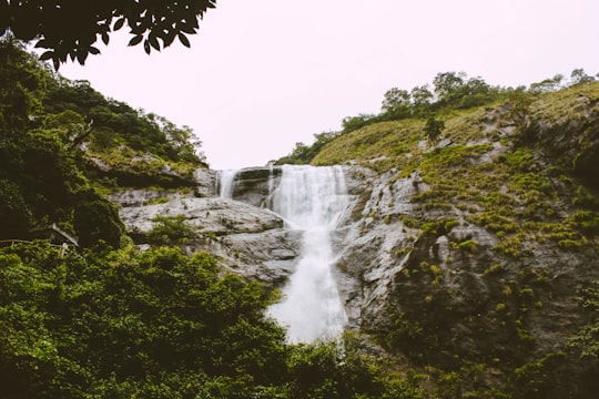 Thenmala Reserve Forest. things to do in Tenkasi