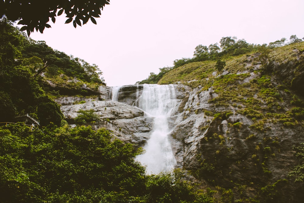 waterfalls in the middle of green trees