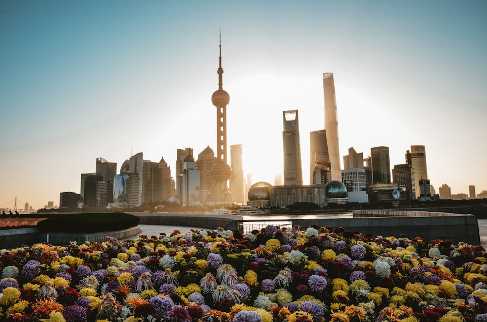 people in park with flowers and dome building in background