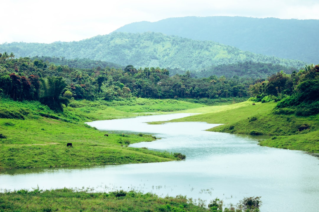 Nature reserve photo spot Anjuruli Thuruthu Island Kumarakom