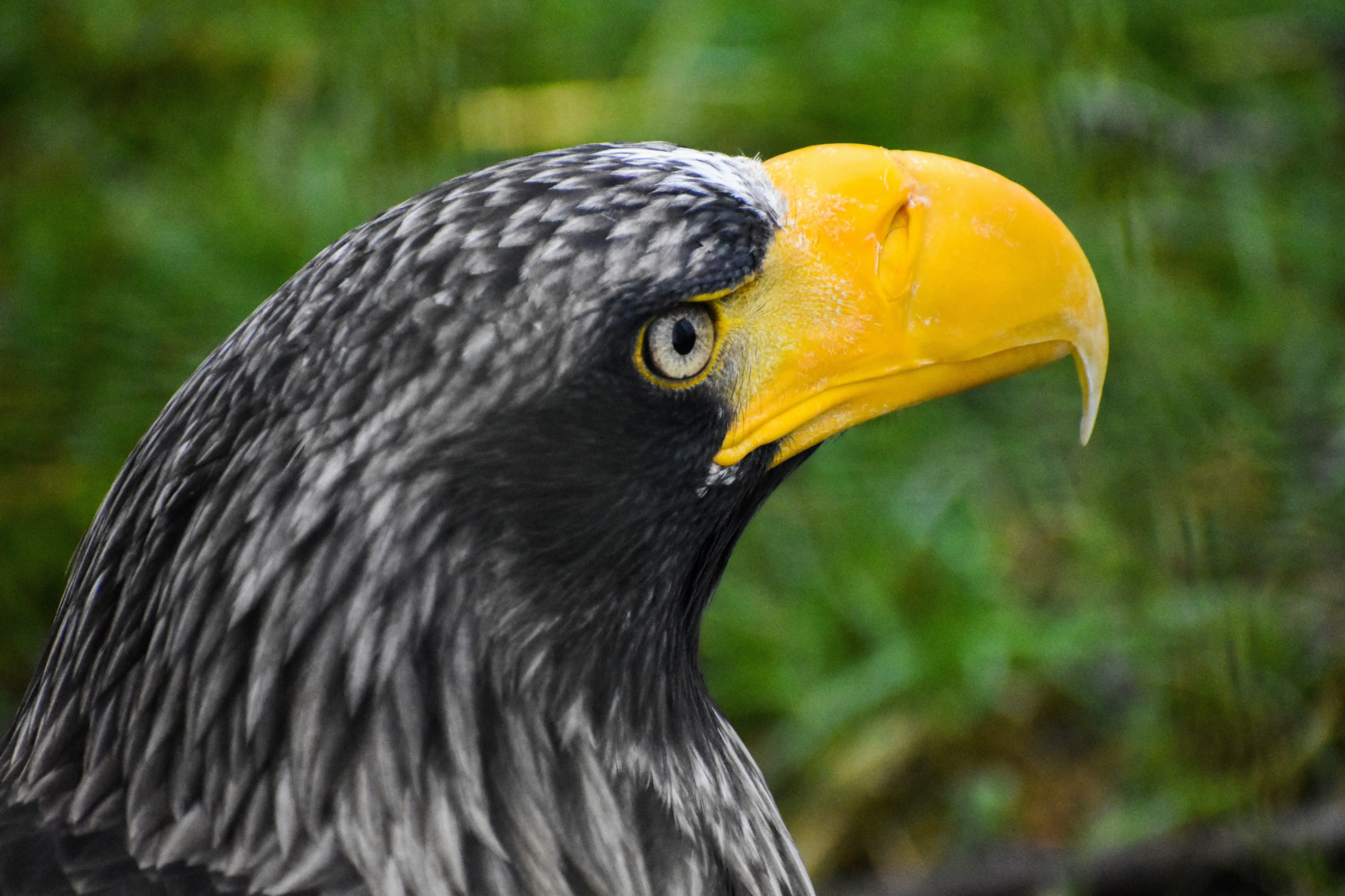 Photo by nickanddjalila