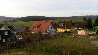A quaint rural setting with several houses featuring traditional architecture. The primary house has a red tiled roof, and there's a bright yellow house nearby. The landscape includes lush green fields and dense forest in the background. The foreground shows bare trees, suggesting a late autumn or early spring season.