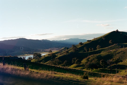 green grass field near mountain during daytime in Tumut NSW Australia