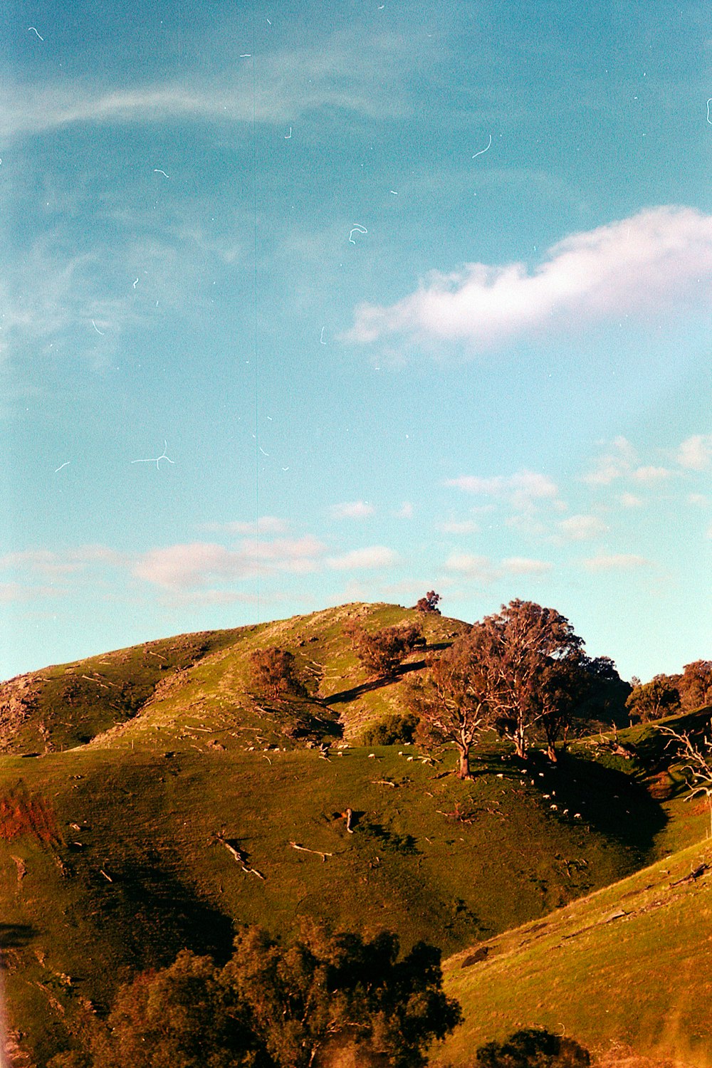 green grass field under blue sky during daytime